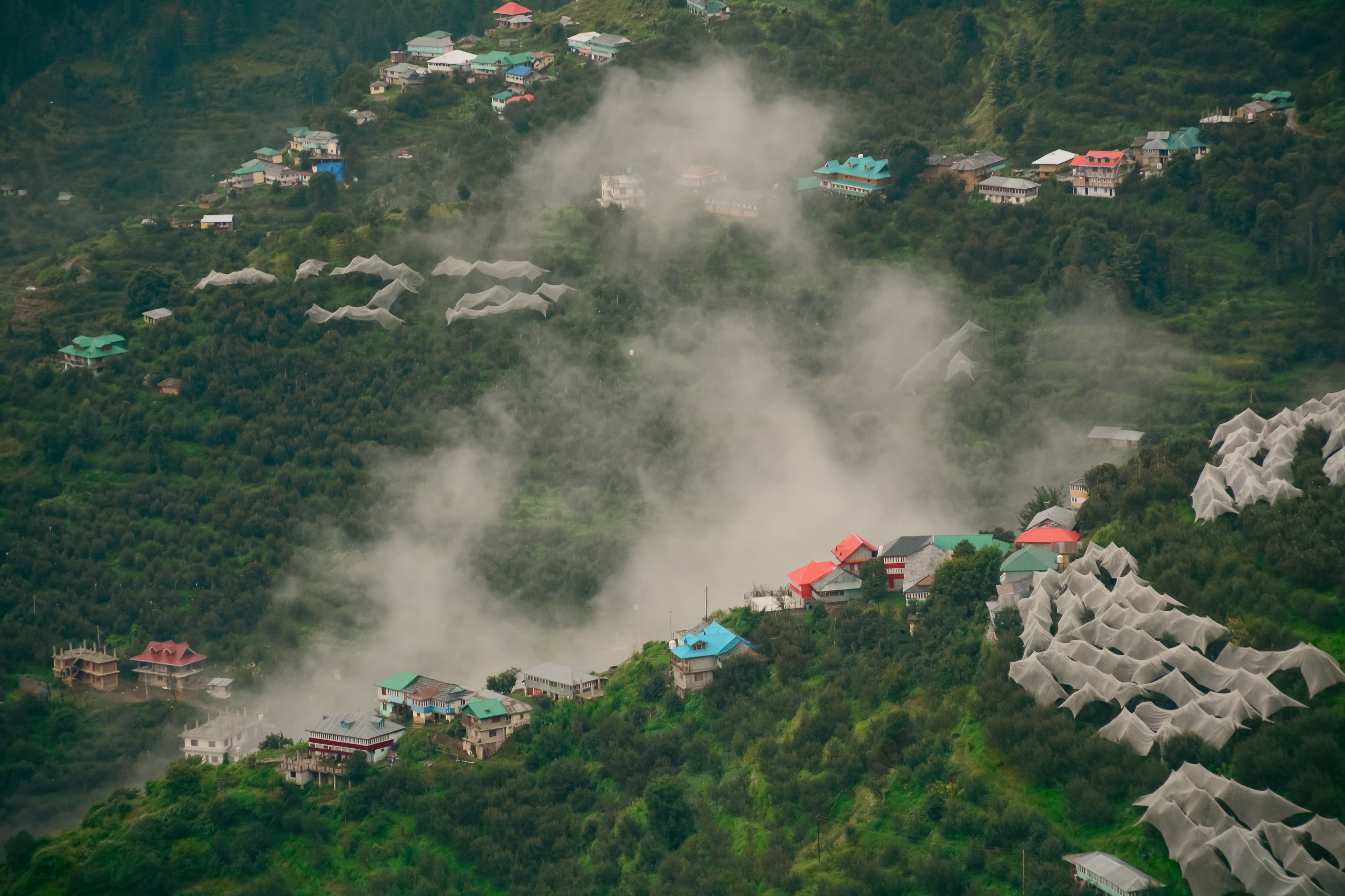 A Himachali hillside village of tin-roofed homes scattered across a misty, forested slope with netted apple orchards